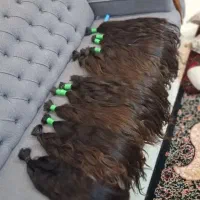 خرید مو