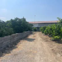 ۲۵۰ متر زمین بافت مسکونی قابل ساخت ویلا/شمال|فروش زمین و ملک کلنگی|تهران, اکباتان|دیوار