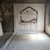 لانه بزرگ پرنده کاسکو آرا|لوازم جانبی حیوانات|تهران, درکه|دیوار