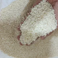 برنج هاشمی سرلاشه،باب خانه.