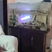 آکواریوم فروش یامعاوضه باهرچی بکارم بیاد