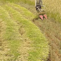 دستگاه دروگر تارو|ماشین‌آلات صنعتی|شفت, |دیوار