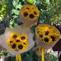 دسته گل آفتابگردون بقچه ایی|گل و گیاه طبیعی|تهران, ورزشگاه آزادی|دیوار