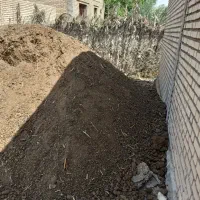 کود گوسفندی|خدمات باغبانی و درختکاری|آبادان, |دیوار