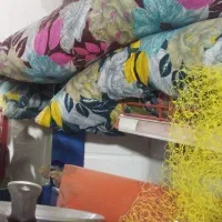 زیرسری یاپشنی درجه۱