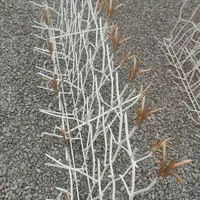 شاخ گوزنی وانواع حفاظ