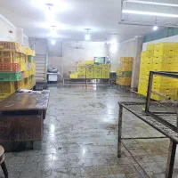 سبزی|خوردنی و آشامیدنی|تهران, میدان میوه و تره‌بار مرکزی|دیوار