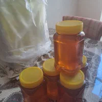 عسل زردکوه بختیاری