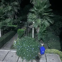 سرایدار در نور مازندران