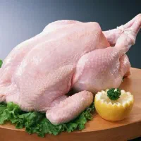 نیروی تخته کار مرغ