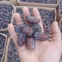 خرمای کبکاب درجه یک|عمده‌فروشی|بوشکان, |دیوار