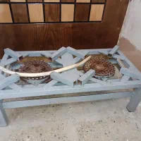 اجاق گاز تک شعله بزرگ