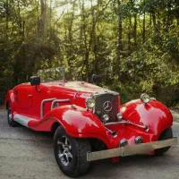 ماشین کلکسیونی