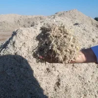 خوراک دام ، کنستانتره پایه باگاس ، نیشکر|حیوانات مزرعه|برخوار, |دیوار