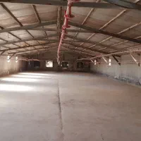 دامداری و ۳۰هکتار زمین کشاورزی دیم|فروش دفتر صنعتی، کشاورزی، تجاری|روانسر, |دیوار