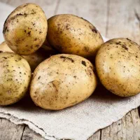 سیب زمینی درجه یک قوری چیا