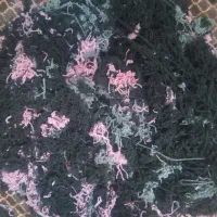 کاموا تمیز و مناسب بالش تشک و ... با قیمت ارزان