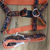 قلاده سگ و گربه|لوازم جانبی حیوانات|گرمدره, |دیوار