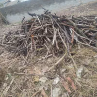 چوب خشک برای کبابی