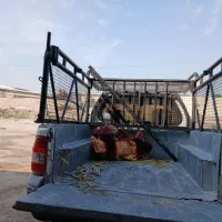 وانت پراید گناوه