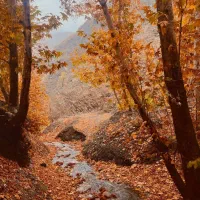 پارتنر کوهنوردی وطبیعت گردی