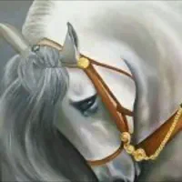 خرید و فروش اسب