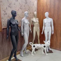 چهره درختی مانکن|فروشگاه و مغازه|قدس, شهرک صنعتی زاگرس|دیوار