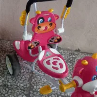 دوچرخه کودک|دوچرخه، اسکیت، اسکوتر|رشت, نخودچر|دیوار