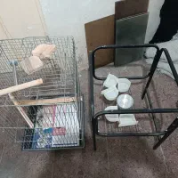 قفس کاسکو|لوازم جانبی حیوانات|تهران, پرستار|دیوار