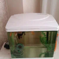 آکواریوم ماهیران