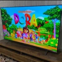 تلوزیون ال جی ۴۹ اینچ