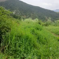 فروش-زمین-روستای-چهاربرج-اسفراین