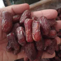 رطب عسلی طلای جنوب و خرما کبکاب مرکز ما هستیم|خوردنی و آشامیدنی|شیراز, قصرالدشت|دیوار