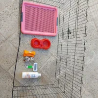 وسایل سگ نو