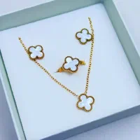 اکسسوری(بدلیجات)