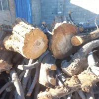 خرید وفروش چوب خشک و تر