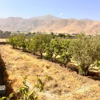 دماوند جابان۲۴۵مترزمین ۴دیواری انشعابات+سند+چکی|فروش زمین و ملک کلنگی|دماوند, دماوند|دیوار