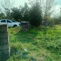 فروش زمین ۴۶۵متری|فروش زمین و ملک کلنگی|شاندرمن, |دیوار