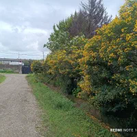 ویلای دو واحدی ۷۳۰ متر ۲۰۵ متر بنا|فروش خانه و ویلا|واجارگاه, |دیوار