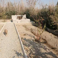 باغچه|فروش زمین و ملک کلنگی|چهاردانگه (تهران), |دیوار