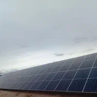 مرغداری-تخم-گذار-و-گوشتی