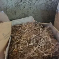 پوشال چوب
