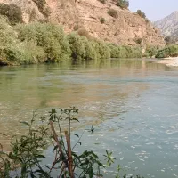 تور وچاتر