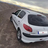 206.خانگی|خودرو سواری و وانت|رفسنجان, |دیوار