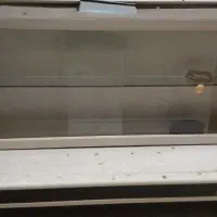 هو اشپزخانه با کابینت روش سالم
