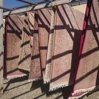 راننده با نیسان