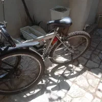 دو دستگاه دوچرخه سایز ۲۶