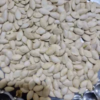 تخمه کدو تخمه