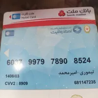 پیداکردن چند کارت و مدارک ب اسم امیر محمد تیموری