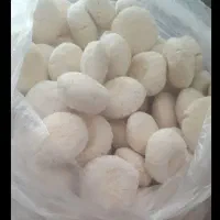 کشک گوسفندی ارگانیک